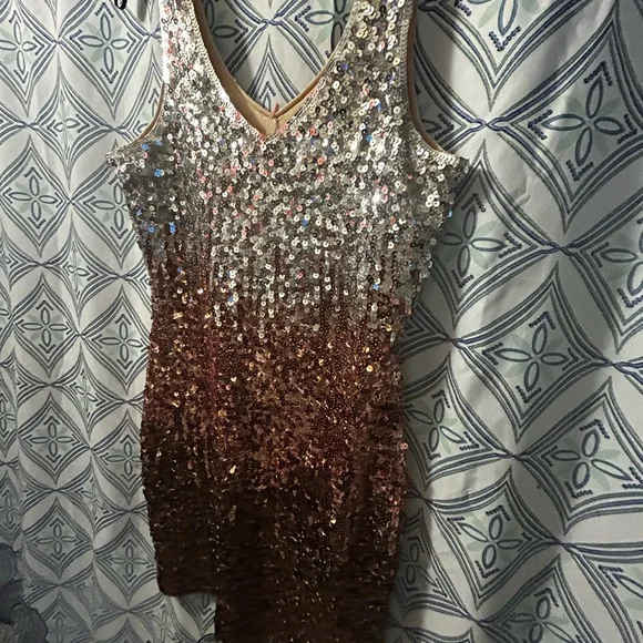 NWT Sequin Ombre Sleeveless Dress w/Perfectly in Tact Embellishments and Lined - Picture 14 of 16